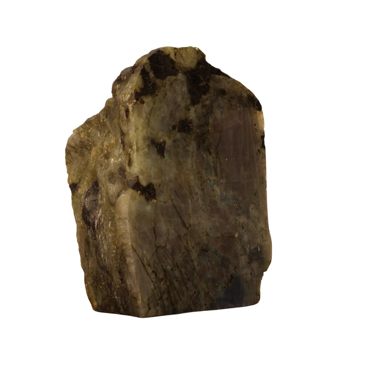 Labradorite cut base half polished #4