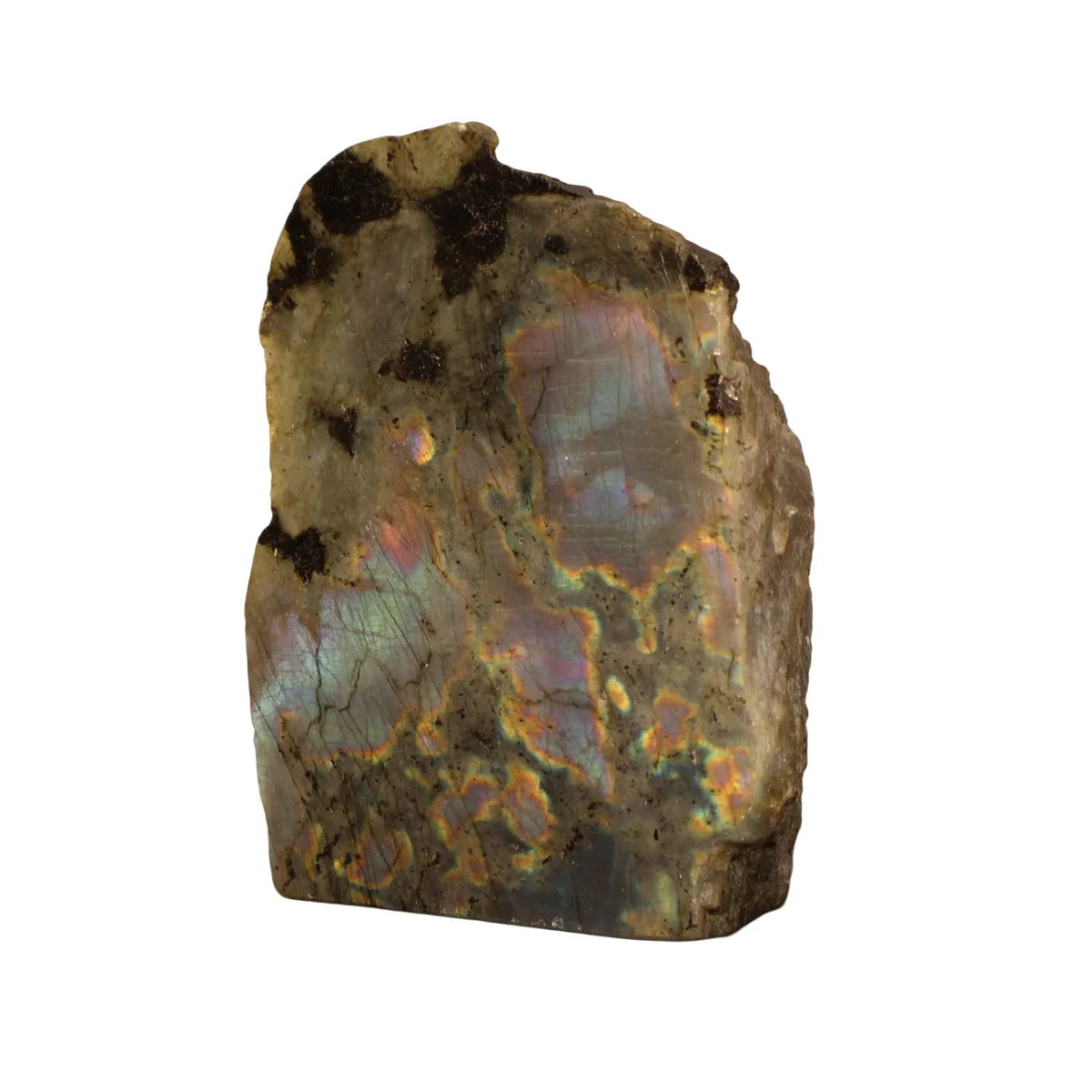 Labradorite cut base half polished #4