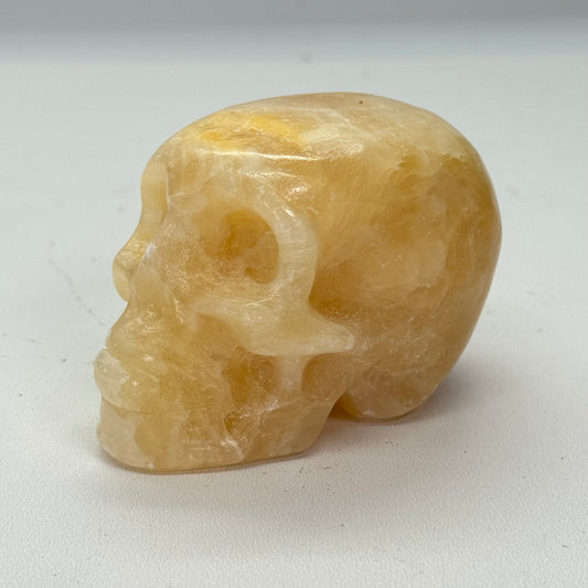 Oranje calciet schedel