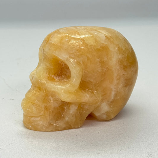 Oranje calciet schedel