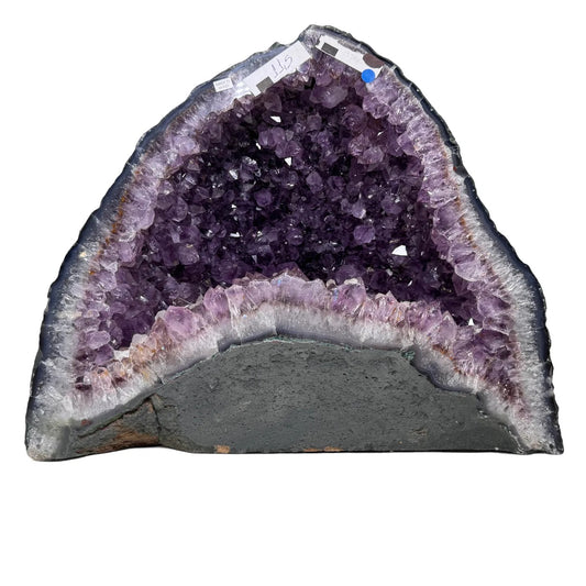 Amethist Geode Kathedraal van 11,5 kg #18