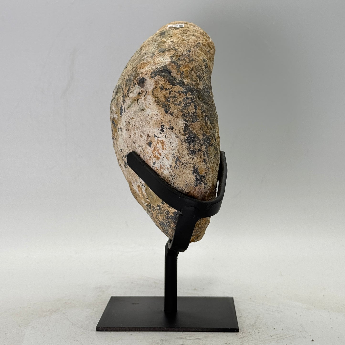 Agate de roche sur le stand n°5