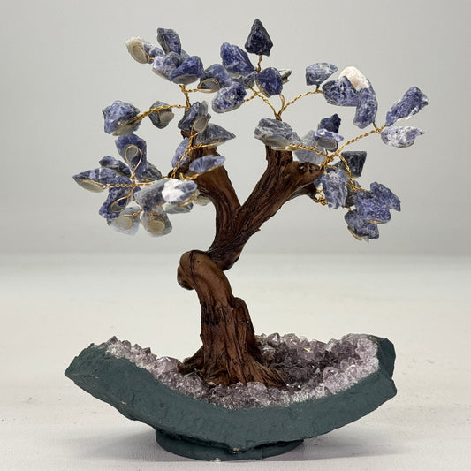 Mineralen boom van Sodaliet 15 cm