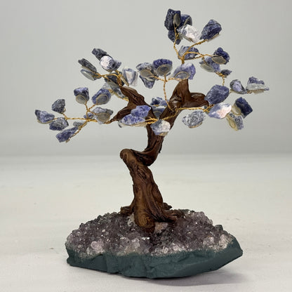 Mineralen boom van Sodaliet 15 cm