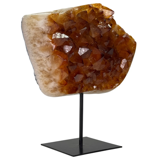 Citrien op Zwarte Metalen Standaard – 24 cm