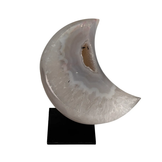 Agaat Maan Klein op Standaard – uit Brazilië