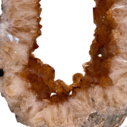 Citrien Portaal op Zwarte Metalen Standaard – uit Brazilië #1