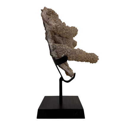 Stalactiet op Houten Voet – uit Brazilië #2