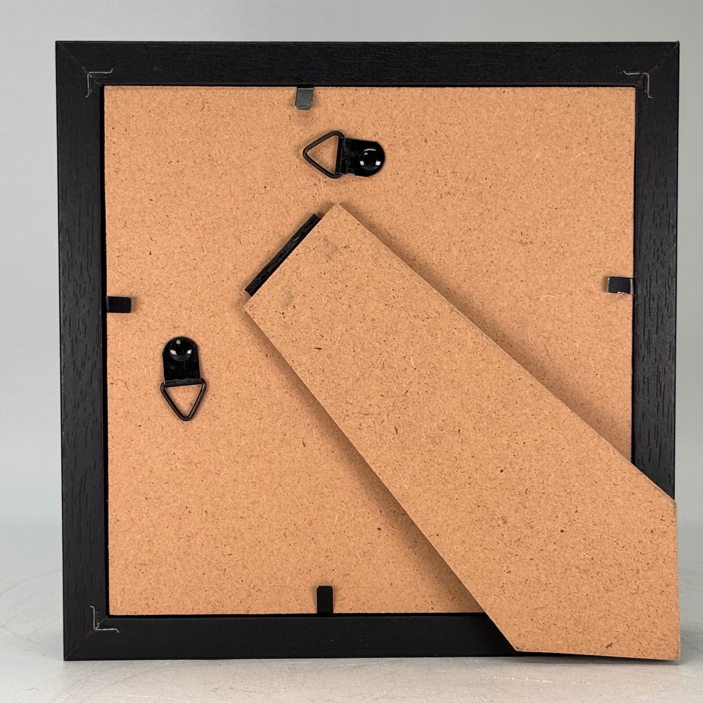 Urania ripheus in lijst 16x16 cm