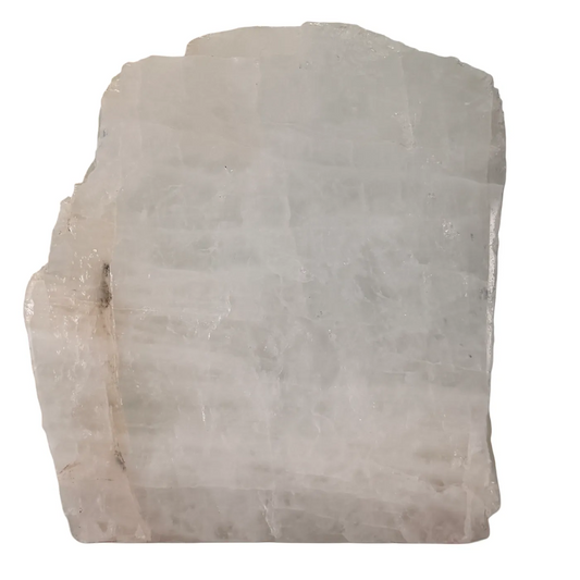 Melkwarts gepolijst cut base 18 cm