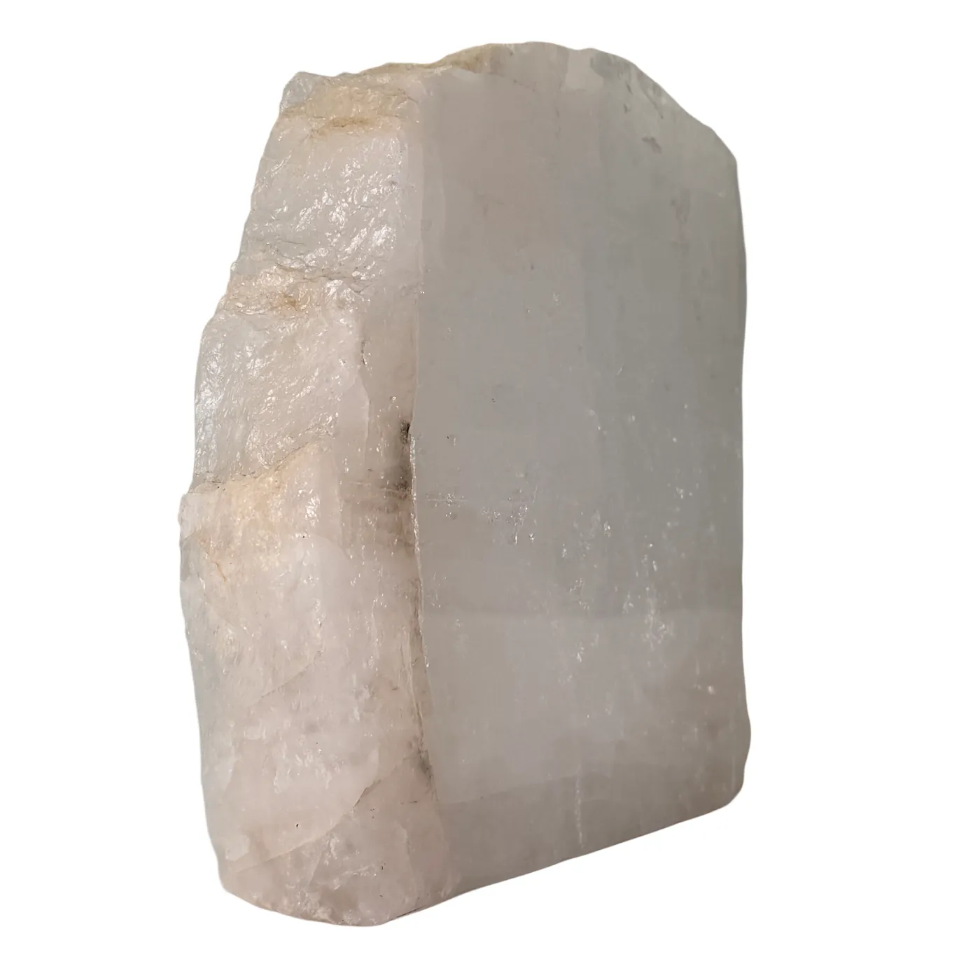 Melkwarts gepolijst cut base 18 cm