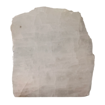 Melkwarts gepolijst cut base 18 cm