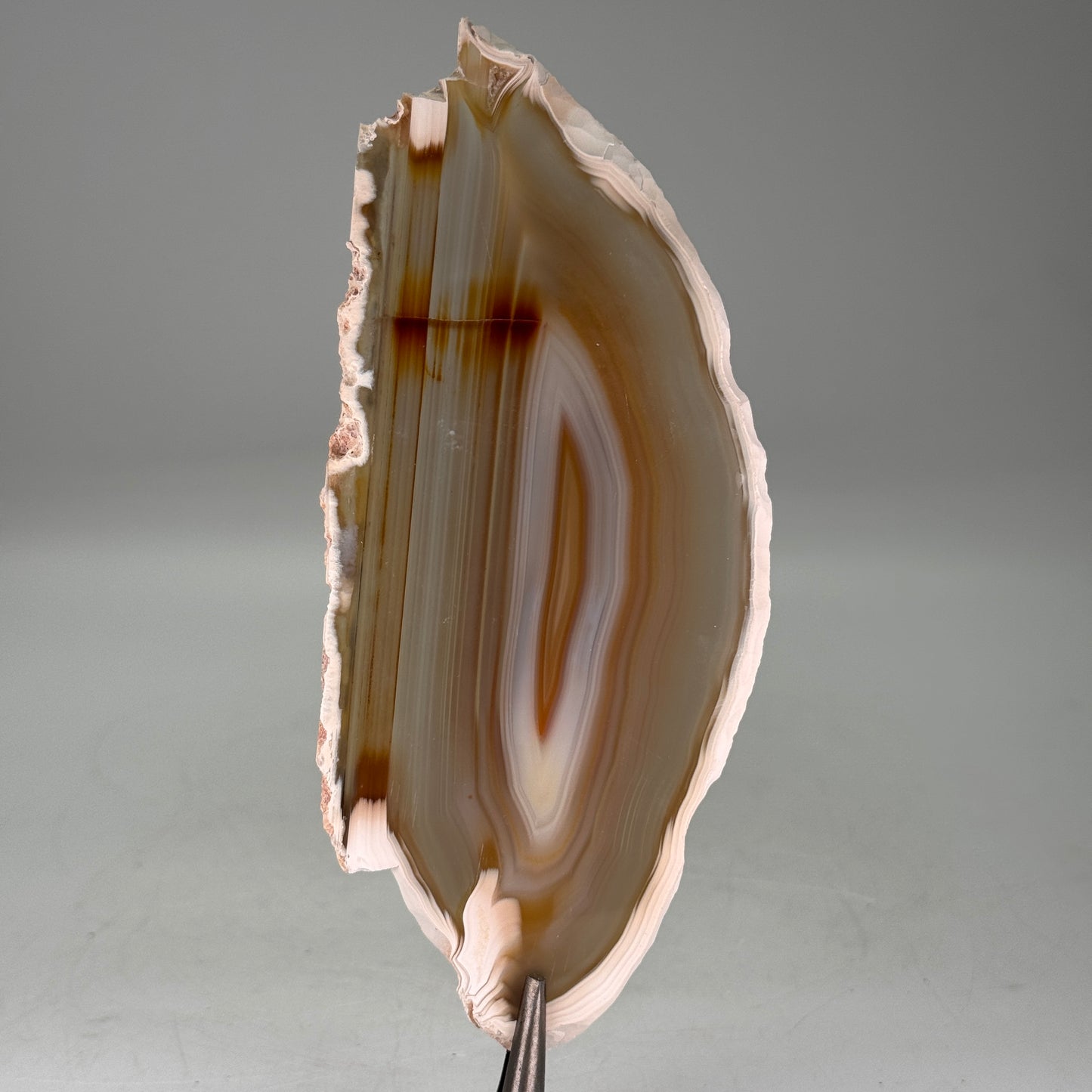 Dunne natuurlijke agaatschijf uit Brazilië