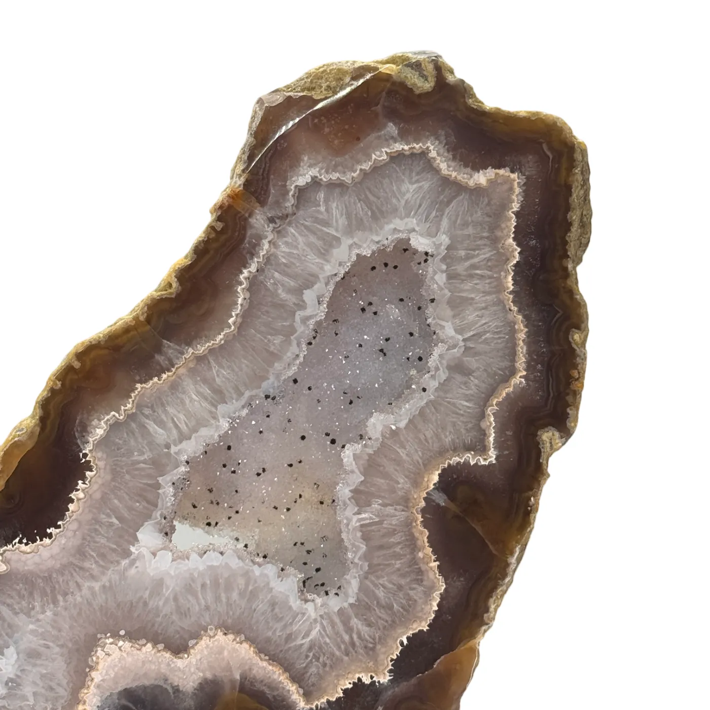 Natuurlijke Rots Agaat Geode met Druzy op Standaard #15