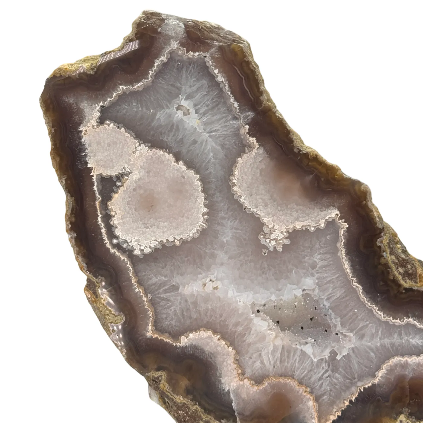 Natuurlijke Rots Agaat Geode met Druzy op Standaard #15