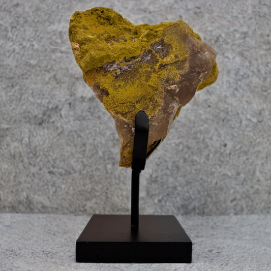 Ruwe Nontroniet op Metalen Standaard – Natuurlijk & Onbewerkt