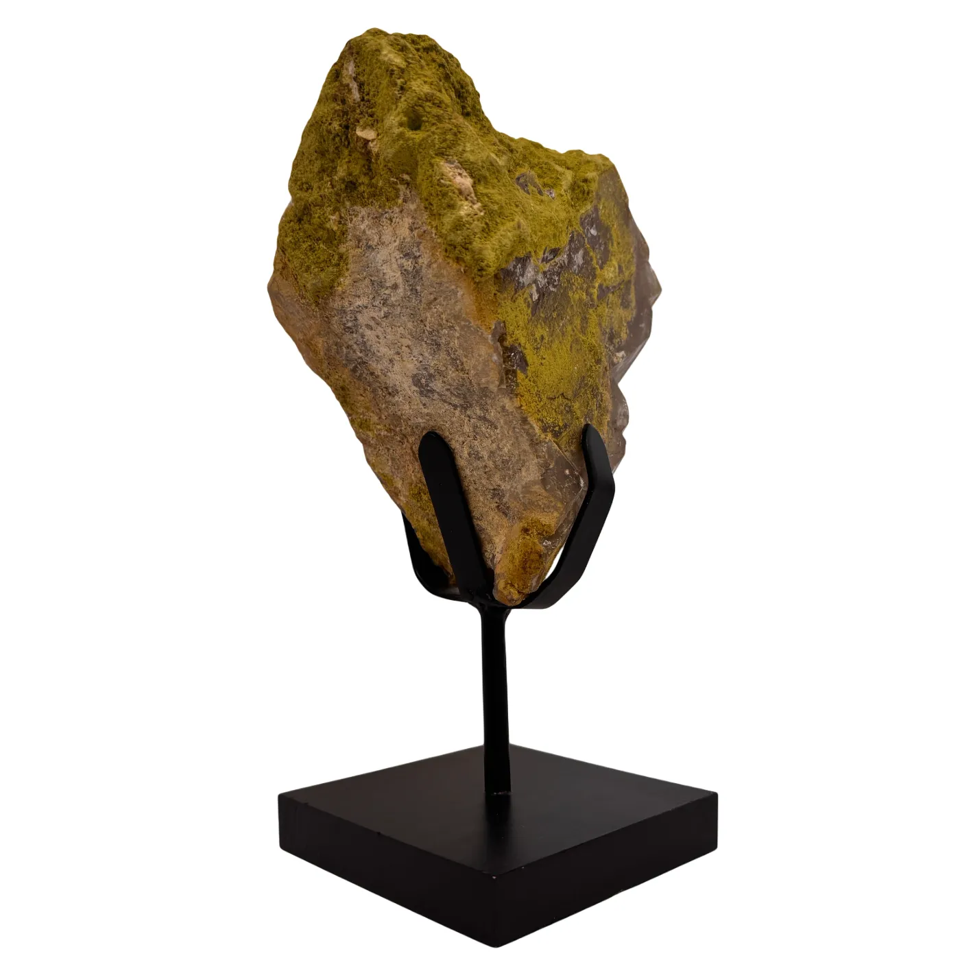 Ruwe Nontroniet op Metalen Standaard – Natuurlijk & Onbewerkt