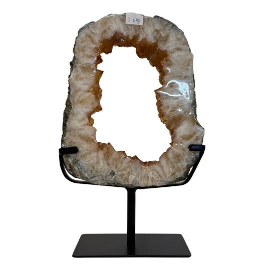 Citrien Portaal op Zwarte Metalen Standaard – uit Brazilië #13