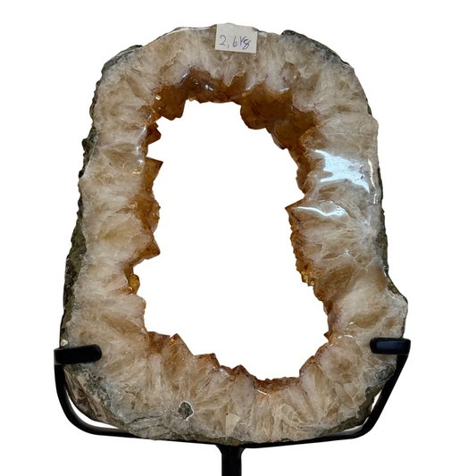 Citrien Portaal op Zwarte Metalen Standaard – uit Brazilië #13