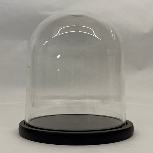 Bell jar 23 x 23 cm