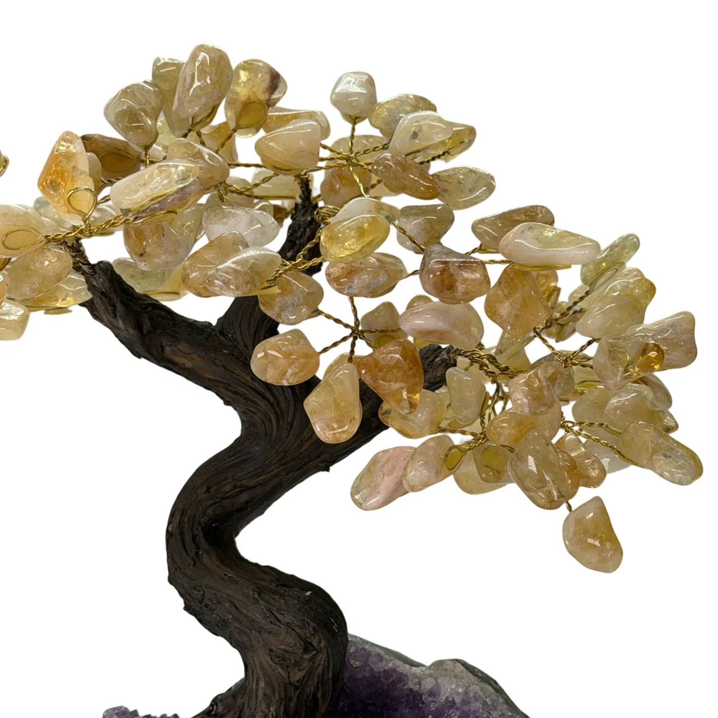 Citrien Boom op Amethist Cluster – 24 Takken