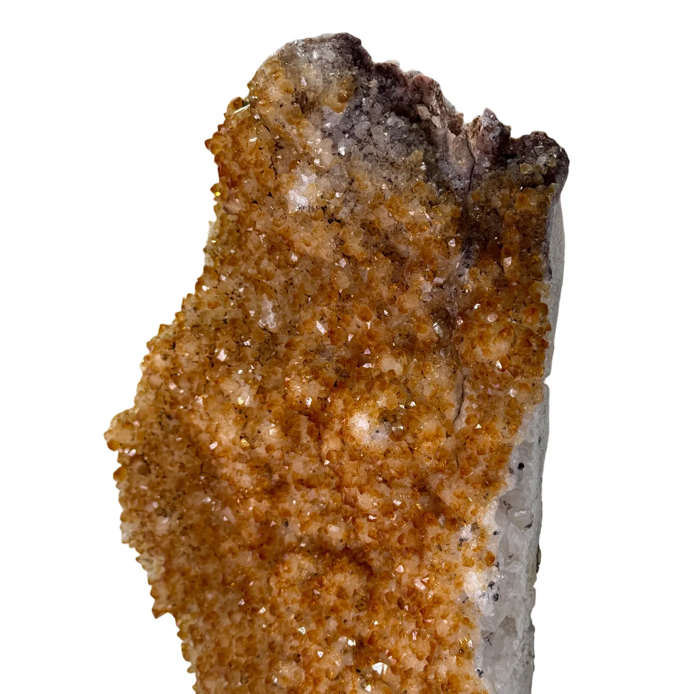 Citrien op Houten Voet – 1,8 kg