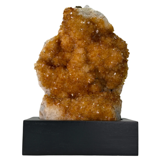 Citrien op Houten Voet – 1,3 kg