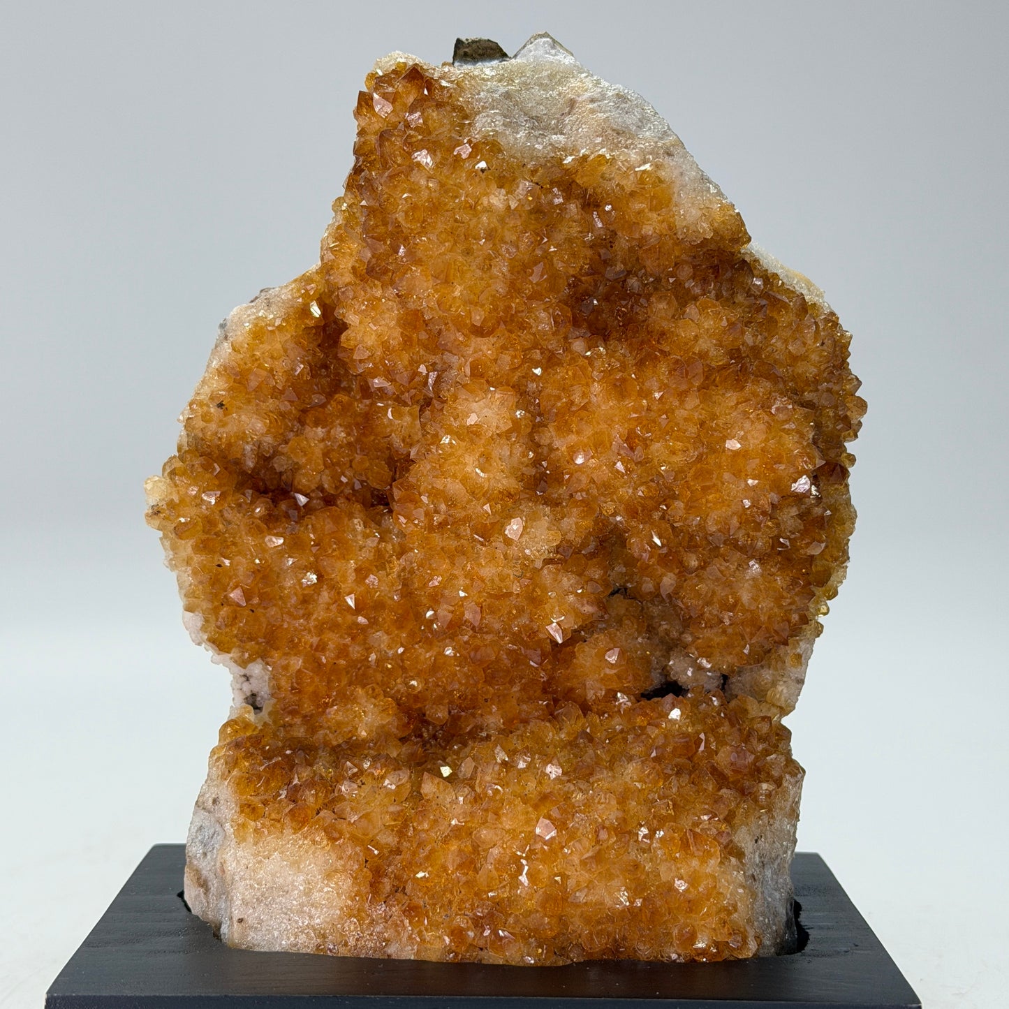 Citrien op Houten Voet – 1,3 kg