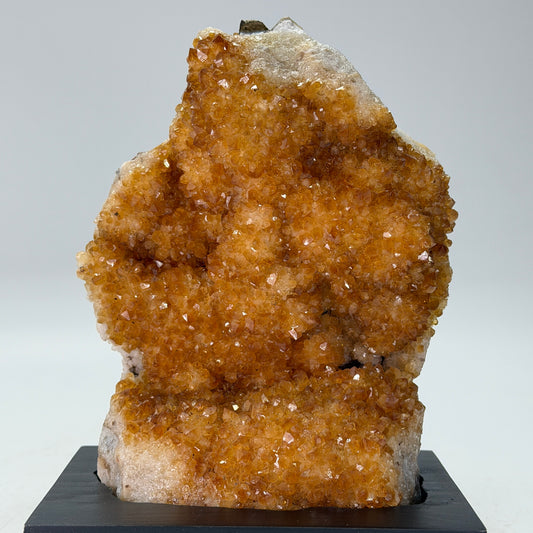 Citrien op Houten Voet – 1,3 kg