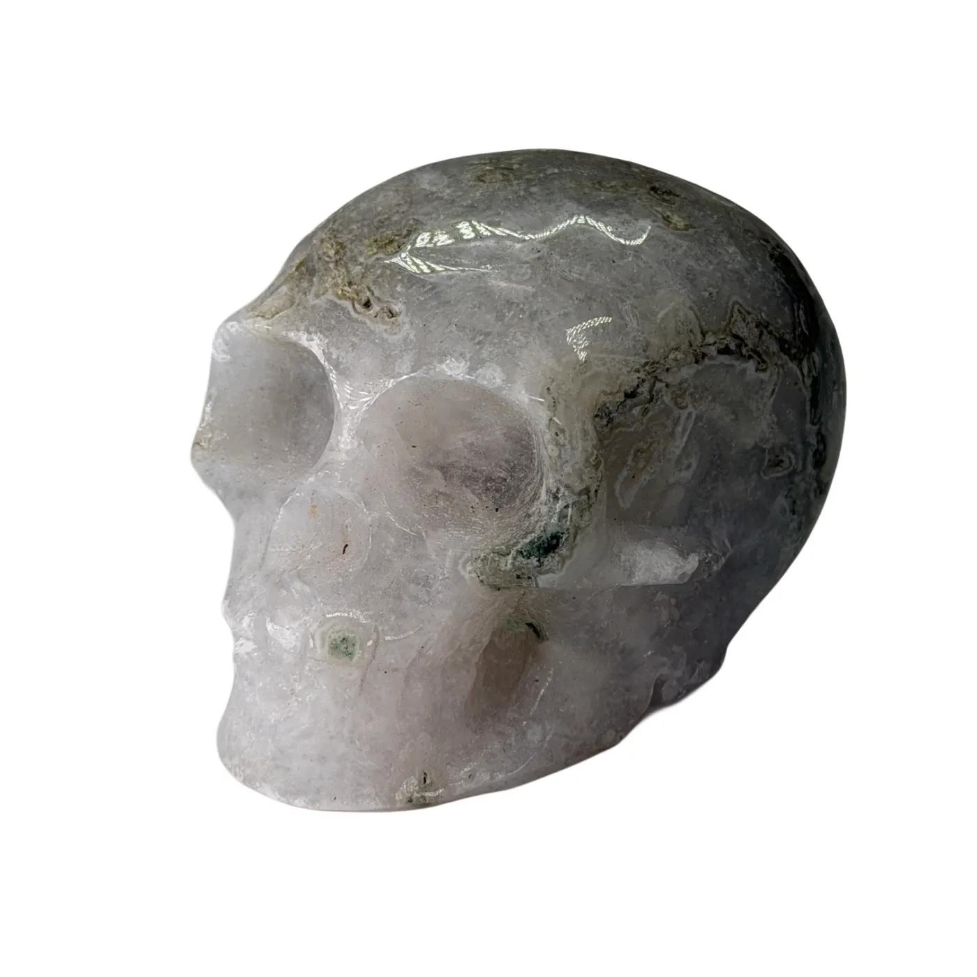 Schedel van mosagaat