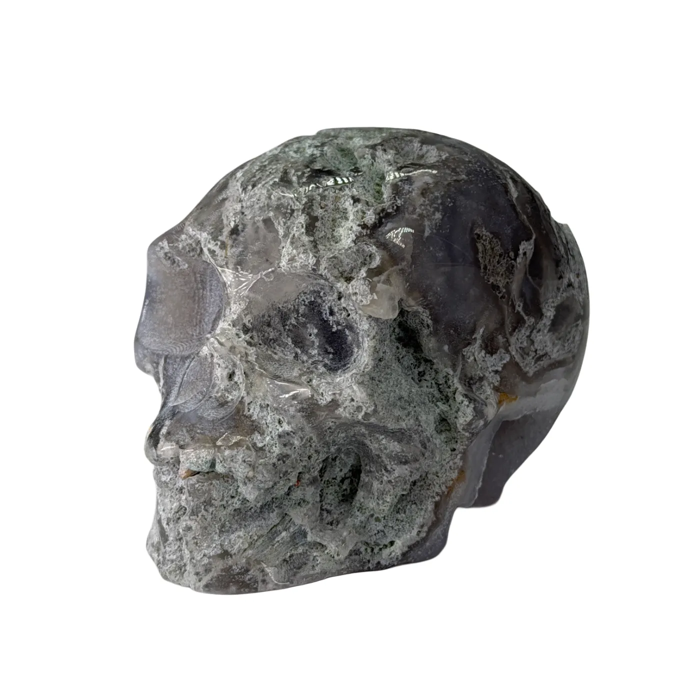 Schedel van mosagaat