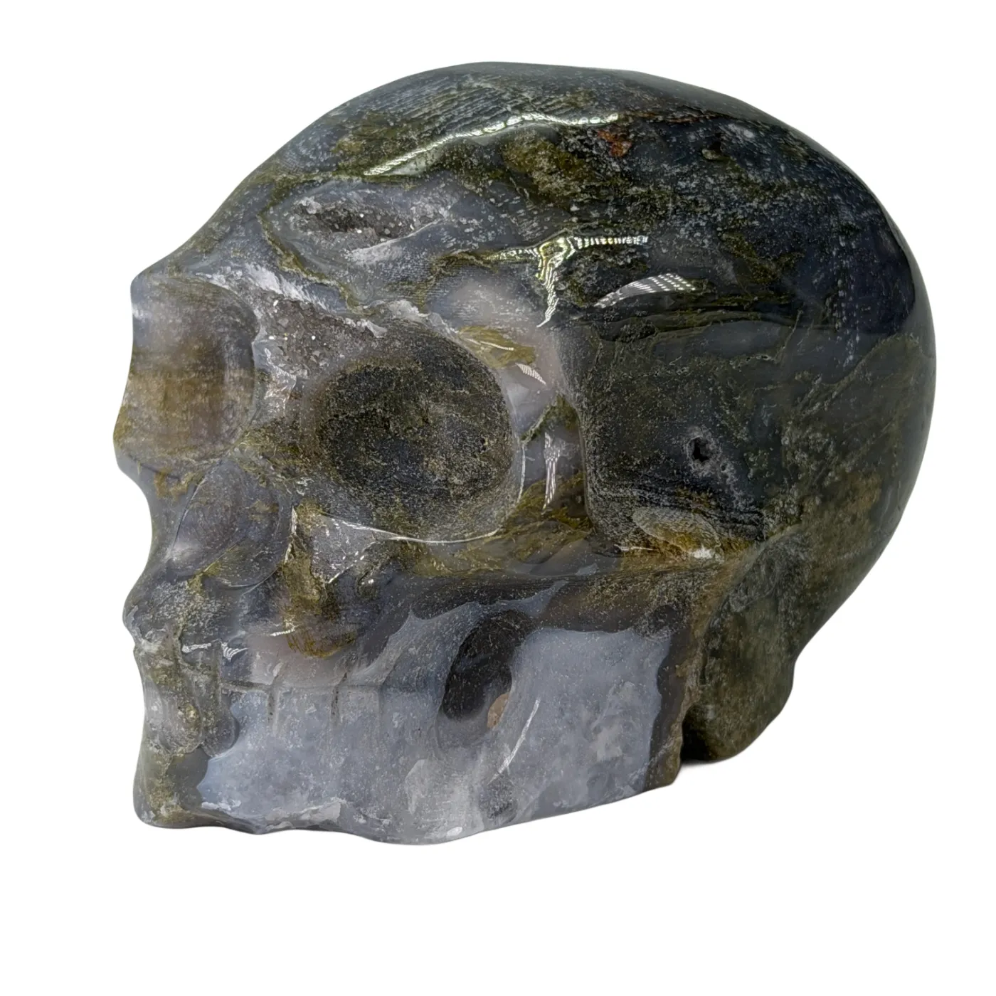 Schedel van mosagaat