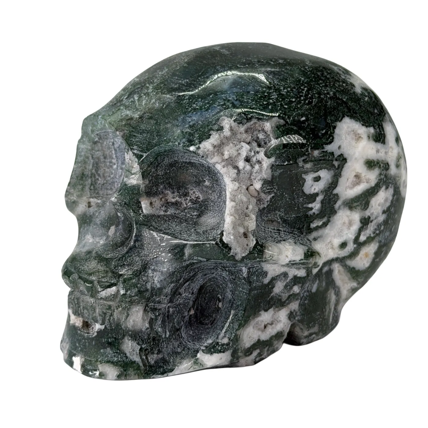 Schedel van mosagaat