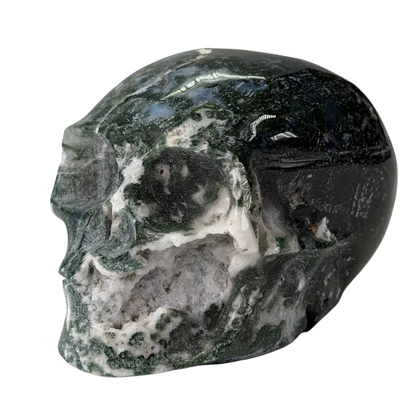 Schedel van mosagaat