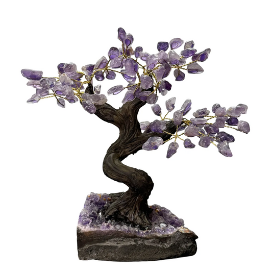 Amethist Boom op Amethist Cluster – 24 Takken