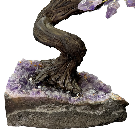 Amethist Boom op Amethist Cluster – 24 Takken