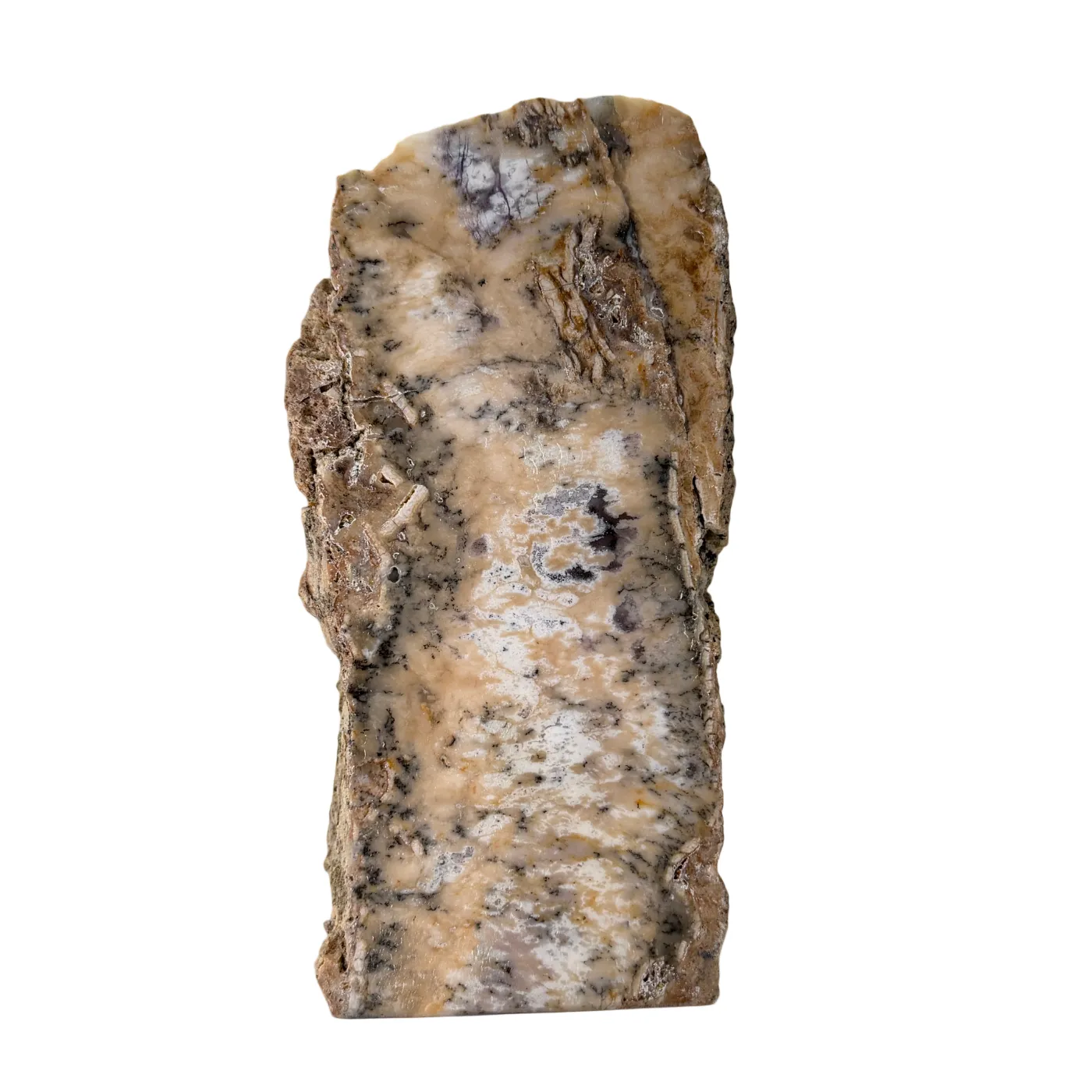 Dendritische Chalcedoon Cut Base – Gepolijst & Ruw Edelsteen Decoratie - 2,7 kg