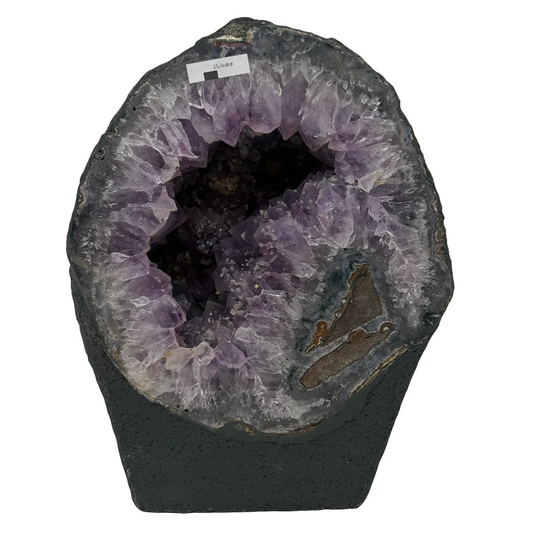Amethist Kathedraal Geode – 34 cm – 15,5 kg