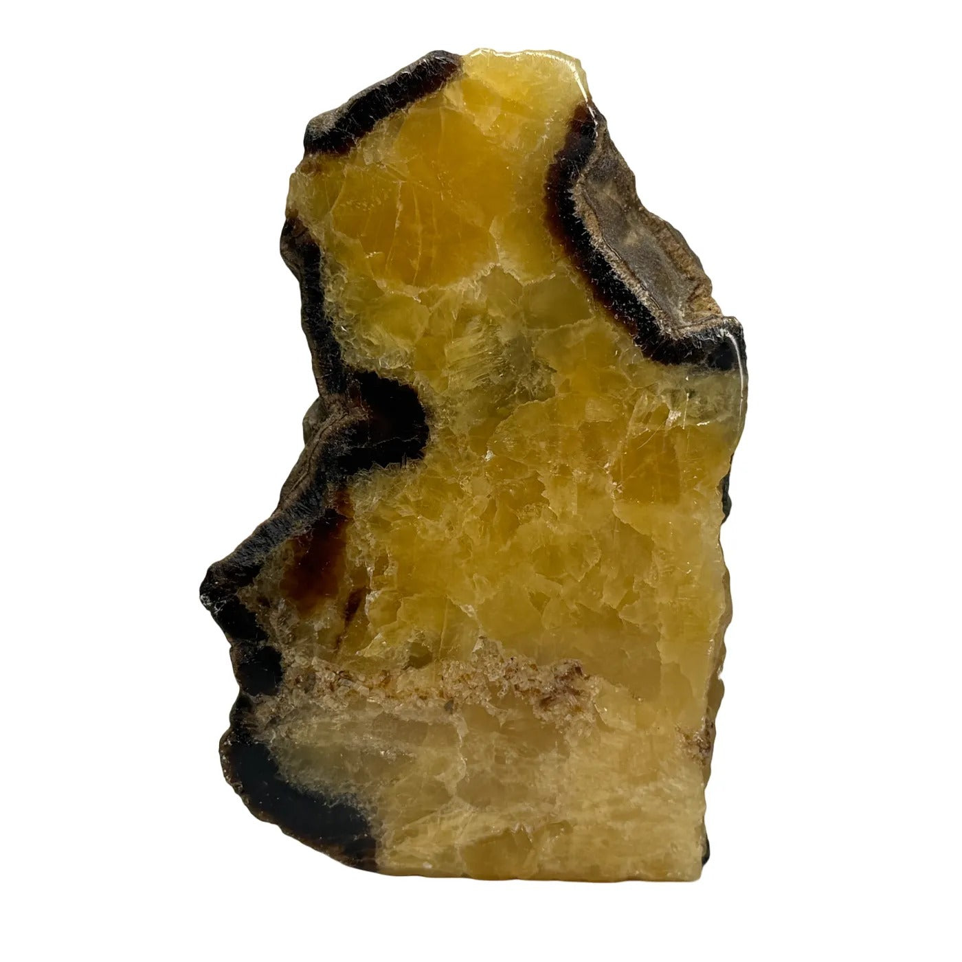 Septarie uit Madagaskar – cut base #1
