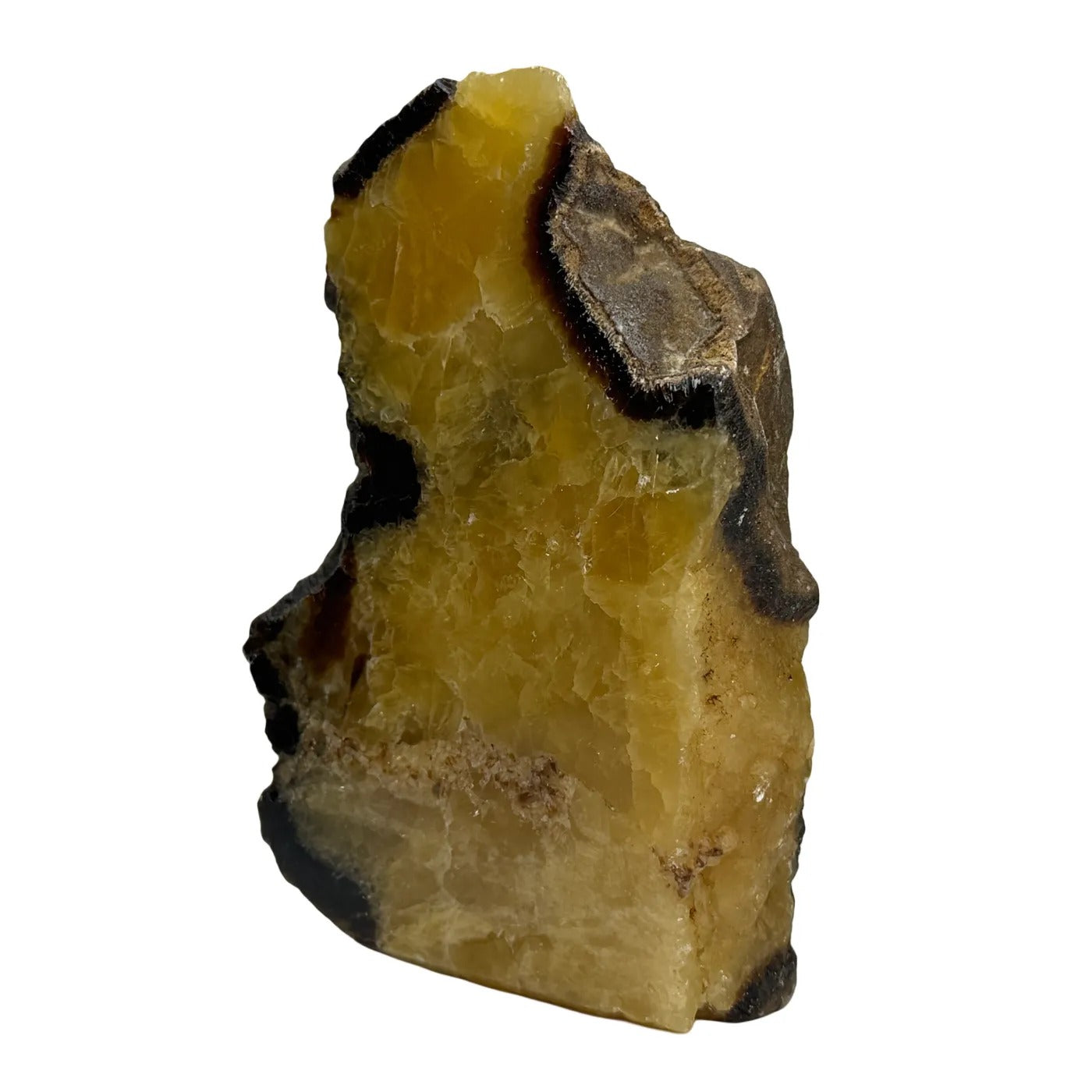 Septarie uit Madagaskar – cut base #1