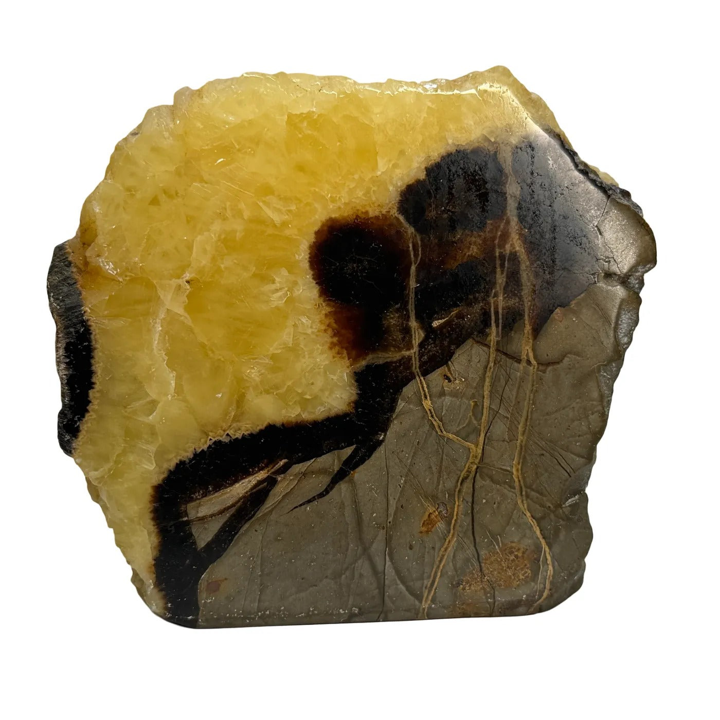 Septarie Heart – Polished – from Madagascar #1