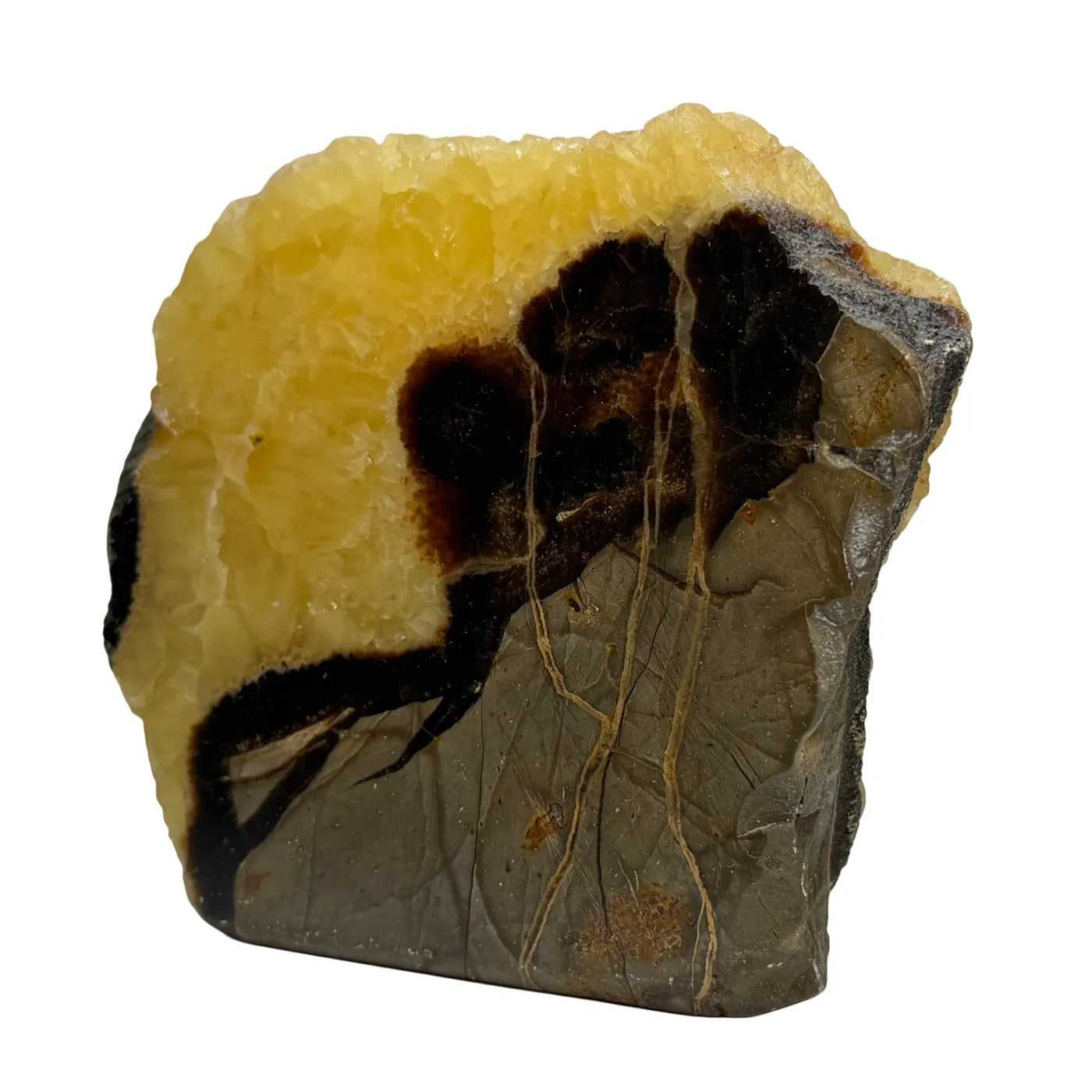 Septarie Heart – Polished – from Madagascar #1