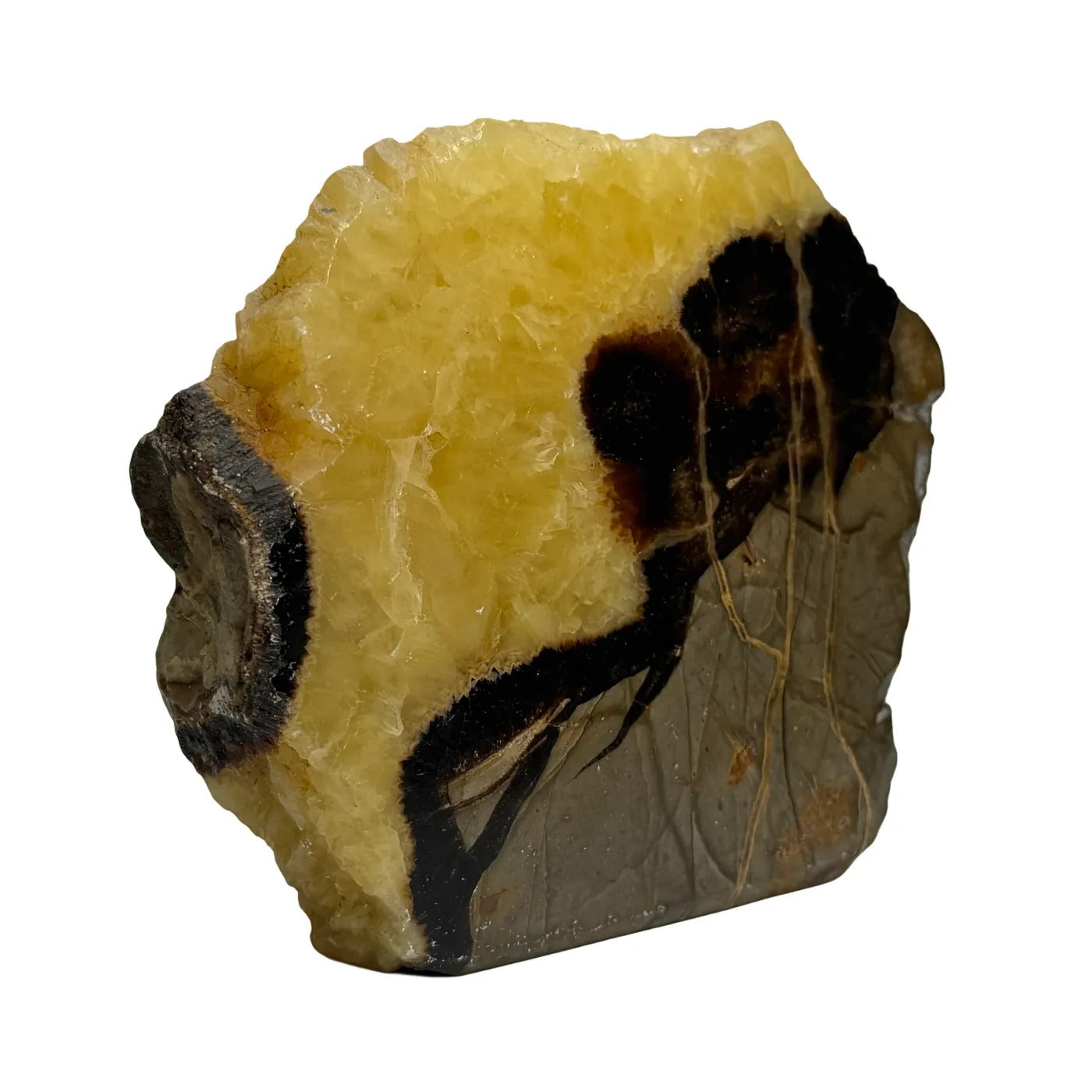Septarie Heart – Polished – from Madagascar #1