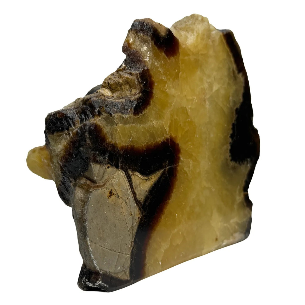 Septarie uit Madagaskar – cut base #3